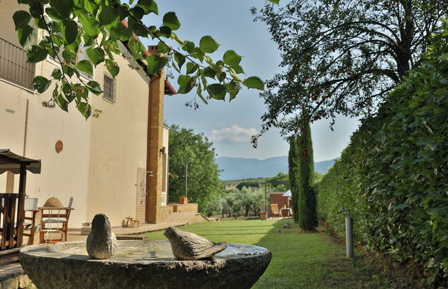 Olives and Vines all Season Villa - Foto 37
