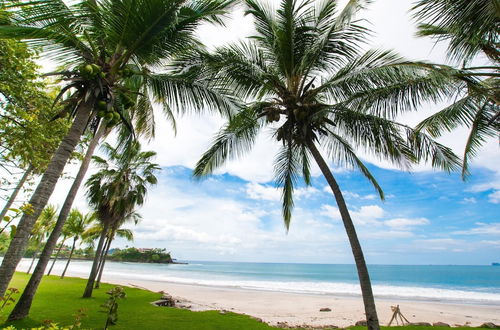 Photo 30 - Spectacular, Huge Beachfront Beauty With Pool