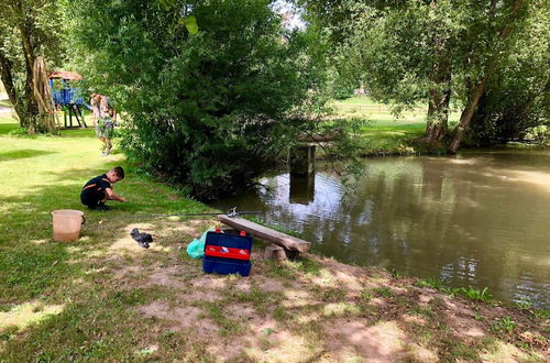 Photo 24 - Mansion in Starkov With Shared Pool