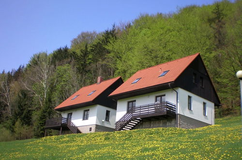 Photo 32 - Mansion in Starkov With Shared Pool