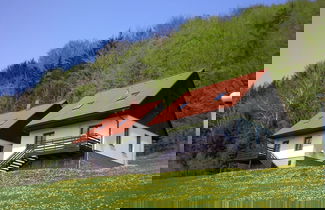 Foto 1 - Mansion in Starkov With Shared Pool