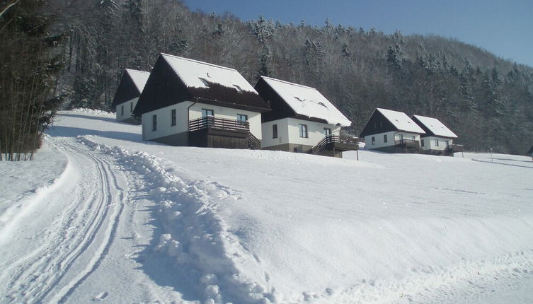 Photo 1 - Mansion in Starkov With Shared Pool