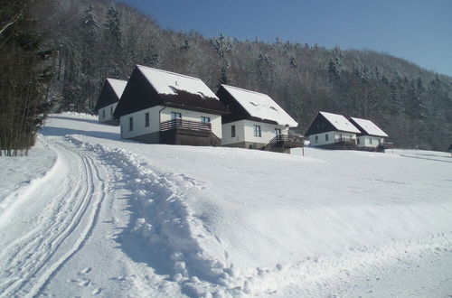 Photo 1 - Mansion in Starkov With Shared Pool