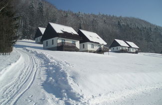 Photo 1 - Mansion in Starkov With Shared Pool