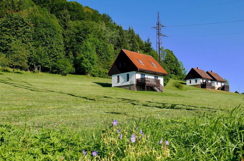 Photo 31 - Mansion in Starkov With Shared Pool