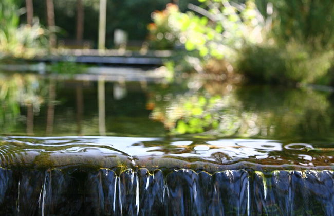 Wellness Forest Retreat - Foto 24