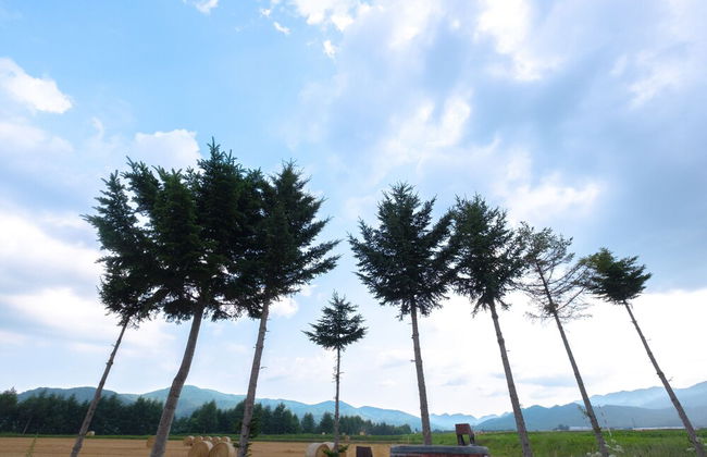 Furano Log House Farm Resort - Foto 24