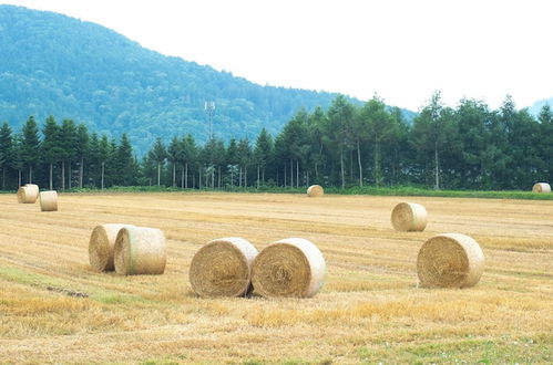 Photo 19 - Furano Log House Farm Resort