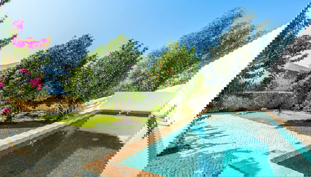 Primary image