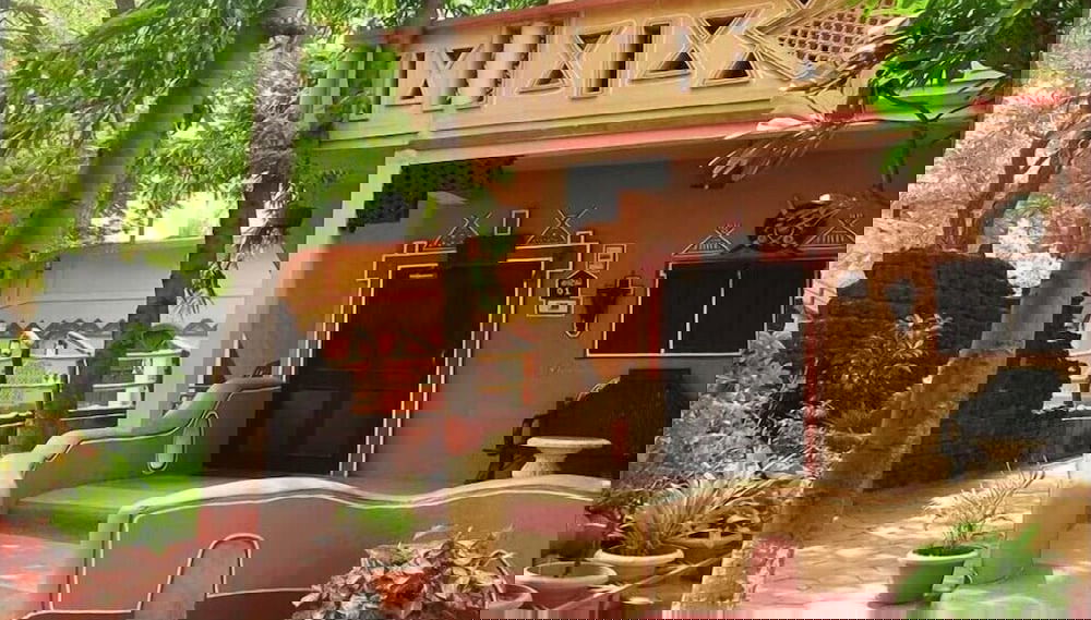 Imagem principal