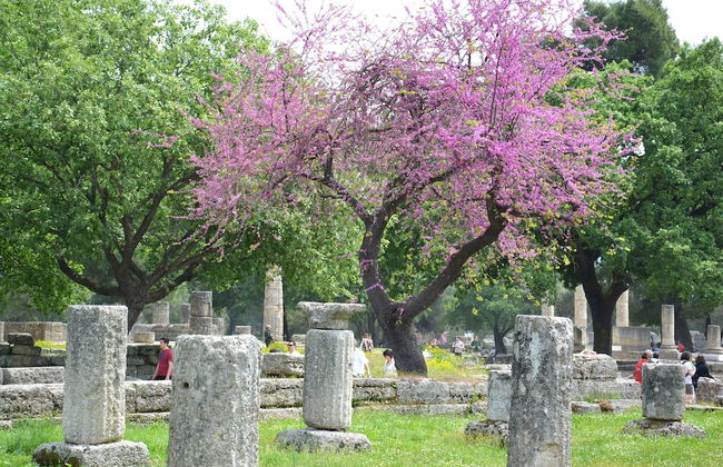 Yiannis' Maizonette Ancient Olympia - Photo 25