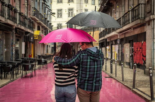 Photo 40 - The House on the Pink Street in Lisbon