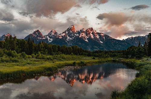 Photo 22 - Tammah Jackson Hole