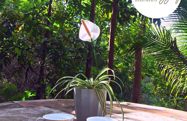 Malunggay Apartments - Photo 35