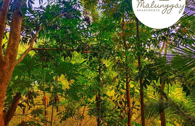 Malunggay Apartments - Photo 36