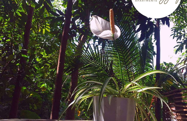 Malunggay Apartments - Photo 38