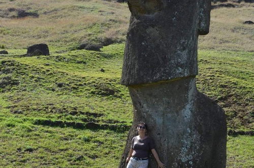 Photo 10 - House Meherio Easter Island