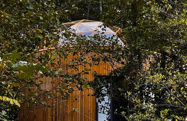 Glamping Martini Kvariati - Foto 39
