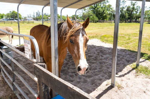 Photo 6 - Pet-friendly Punta Gorda Vacation Rental w/ Patio