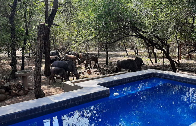 African Sky Villas - Foto 56