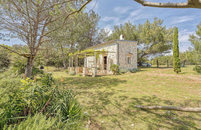 Eco House Zabodarski Beach - Foto 13