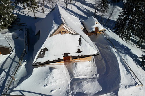 Photo 22 - Koča Žafran - Velika planina