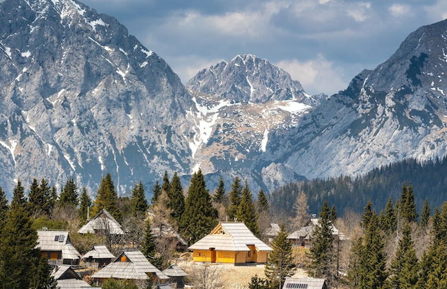 Koča Žafran - Velika planina - Foto 11