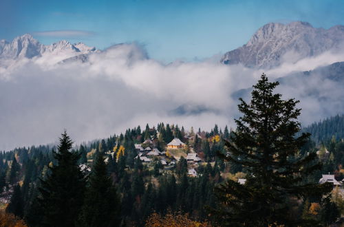 Photo 25 - Koča Žafran - Velika planina