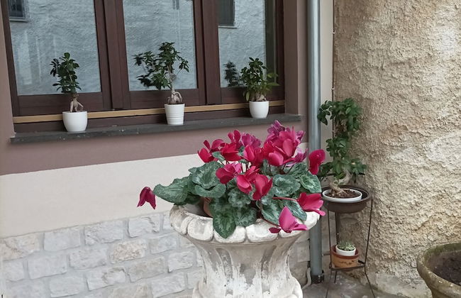 Dabrian B&B Aterrana - Foto 24