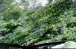 Photo 3 - Mahajiva