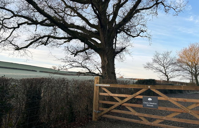 Cosy Devon Retreat Woodland Views - Foto 18