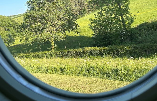 Cosy Devon Retreat Woodland Views - Foto 12