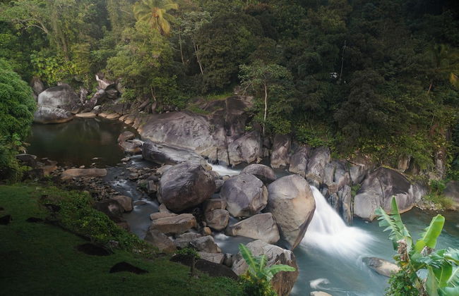 El Yunque Rainforest - Foto 31