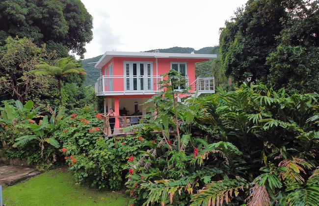 El Yunque Rainforest - Foto 3