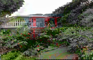 Photo 3 - El Yunque Rainforest