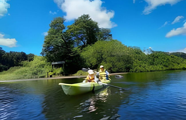 Cabañas Los Notros Puerto Varas - Foto 27