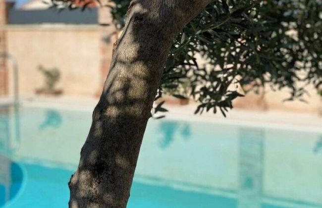 Villa Stalla - Foto 14