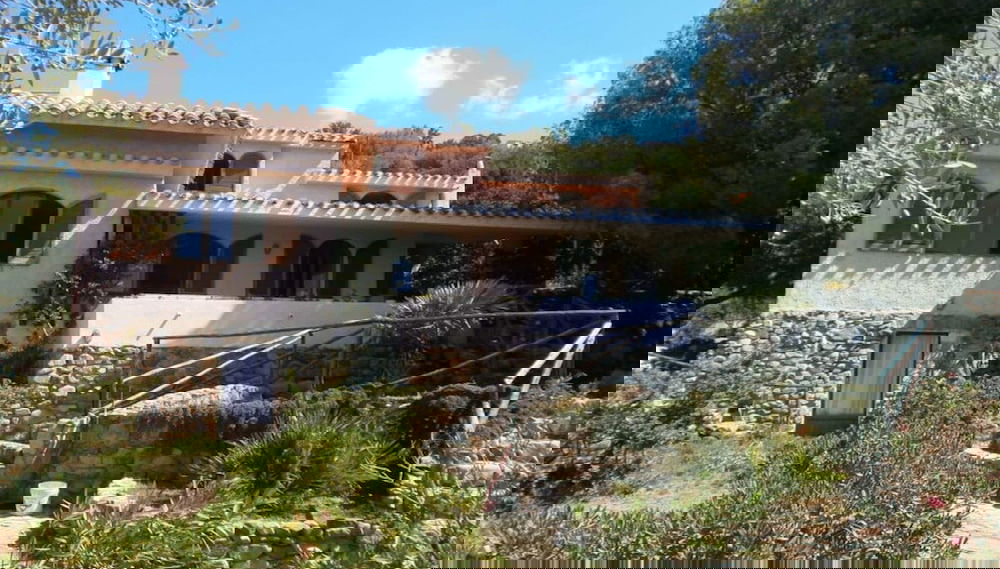 Imagem principal