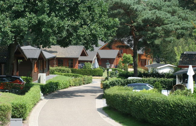 Wooden Holiday Home Near Brunssummerheide - Photo 33