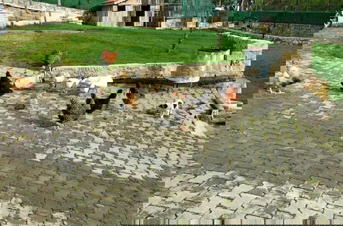 Foto 47 - Candarlı Çiftliği