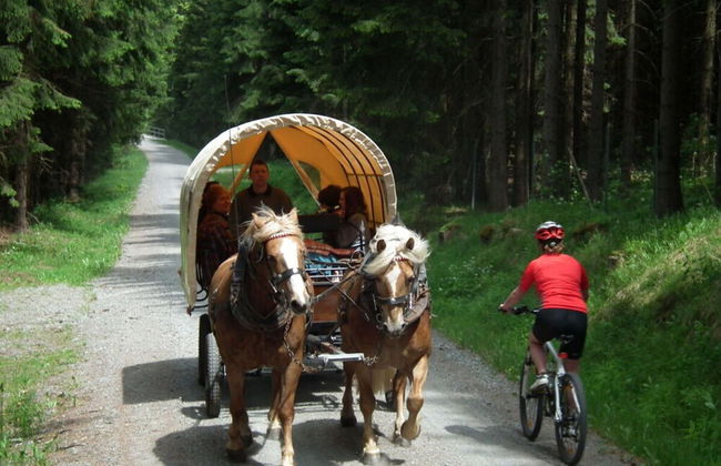 Maisonette Holiday Apartment \"fichtelberg\" - Foto 24