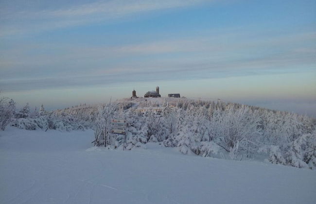 Maisonette Holiday Apartment \"fichtelberg\" - Foto 40