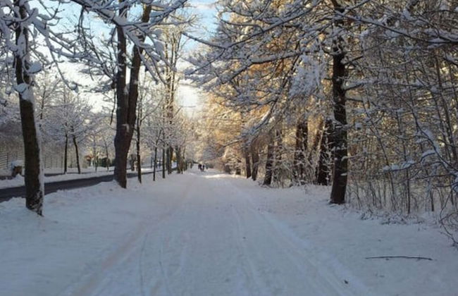 Maisonette Holiday Apartment \"fichtelberg\" - Foto 18