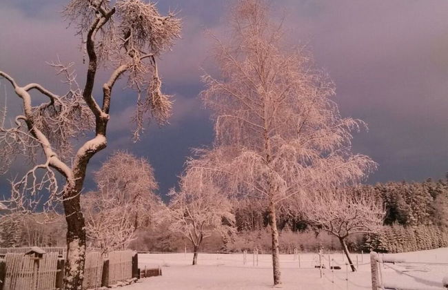 2 Fuchskreuzhof - Foto 14