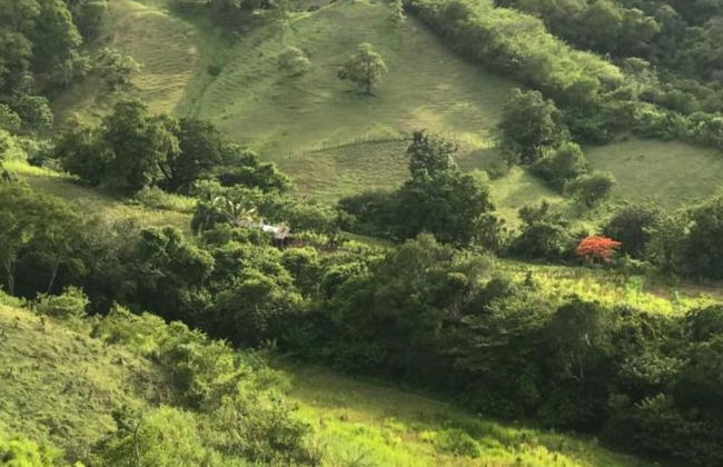 Rancho Fernandez - Foto 20