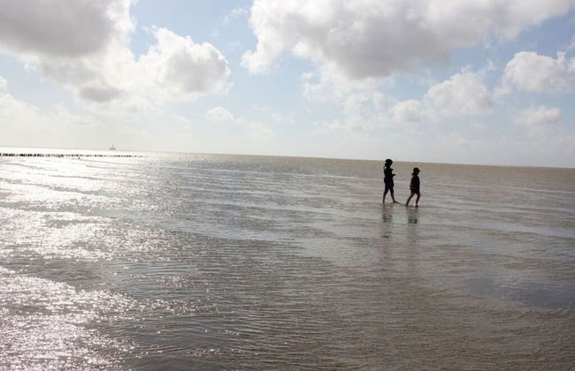Gowatt North Sea - Foto 3