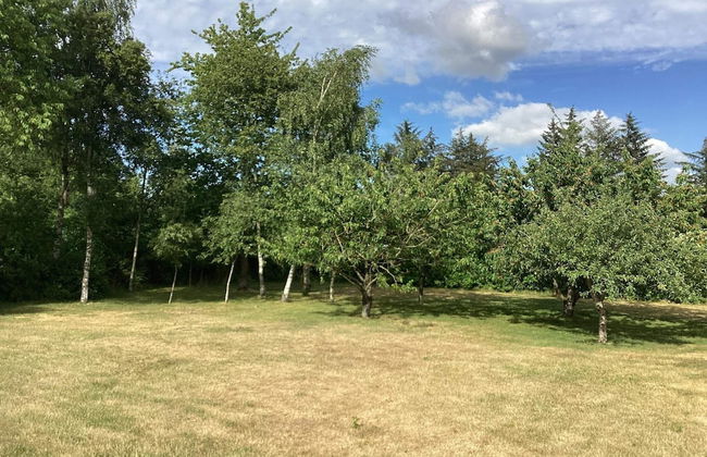 8 Person Holiday Home in Hojslev - Foto 45