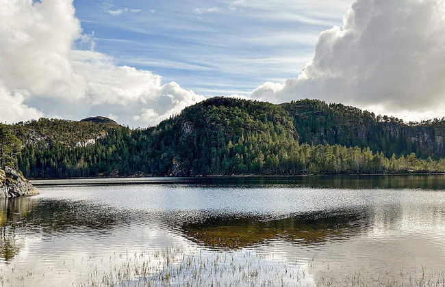 4 Person Holiday Home in Lysoysundet - Foto 10