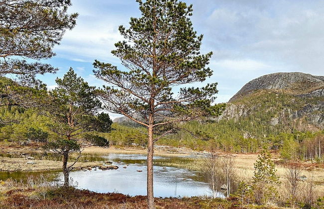 4 Person Holiday Home in Lysoysundet - Foto 19