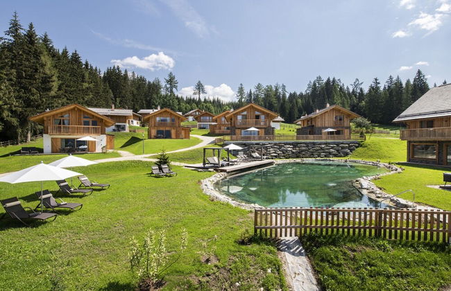 Chalet in Wolting With Natural Swimming Pond - Photo 3